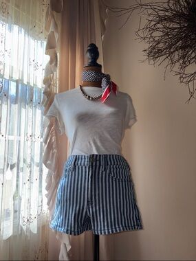 American Eagle Outfitters Blue and White Striped High-Rise Denim Shorts